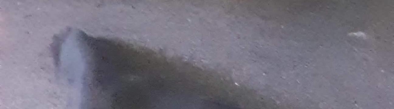 Deandra