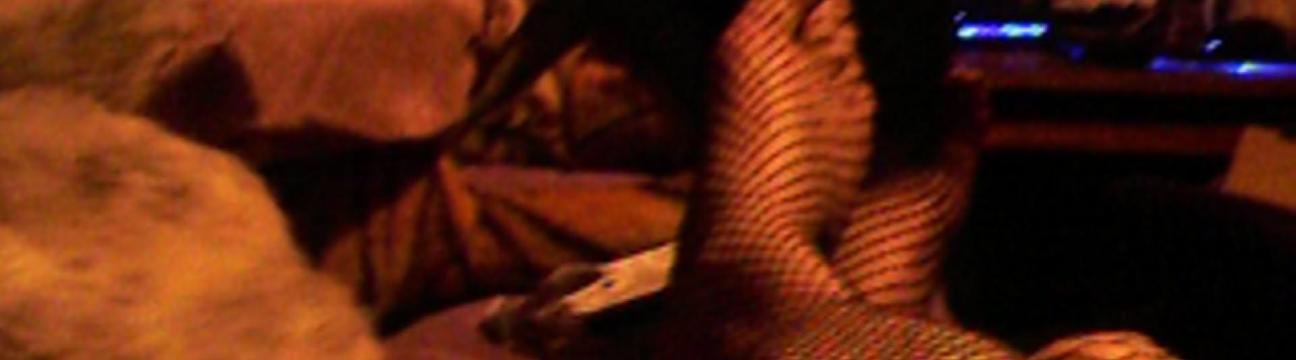 north norfolk crossdressers/sissys/trans