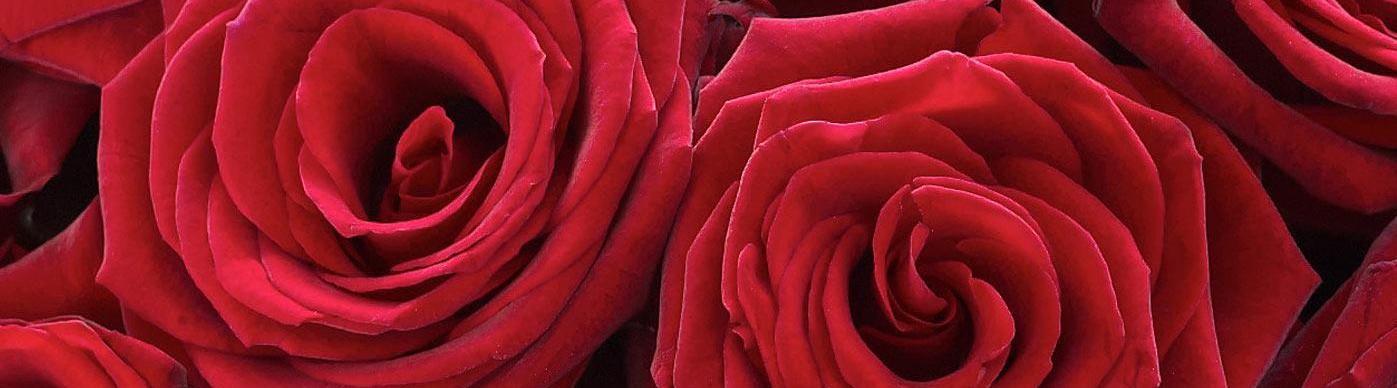 Crossdressing Scotland